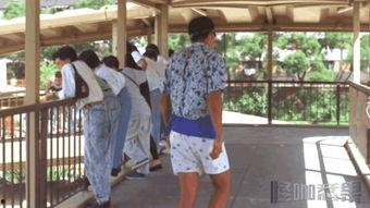 小逃犯,逆境中的成长与蜕变  第3张