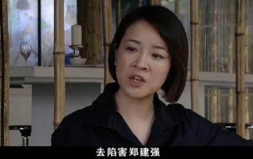 心机夫人的一百层套路,层层递进的情感操控艺术