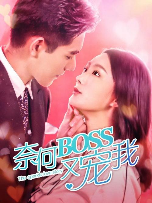 离婚后美飒总裁惊艳全球（打工女王）,打工女王逆袭之路