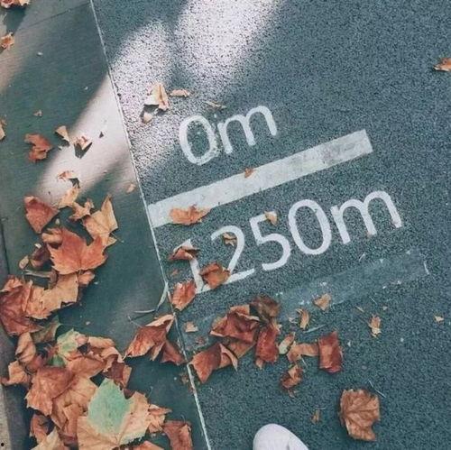 偷生 2025,偷生时代的生存法则与挑战