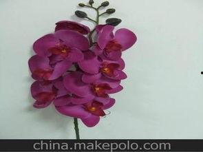 塑胶花,探寻塑胶花的魅力世界  第2张